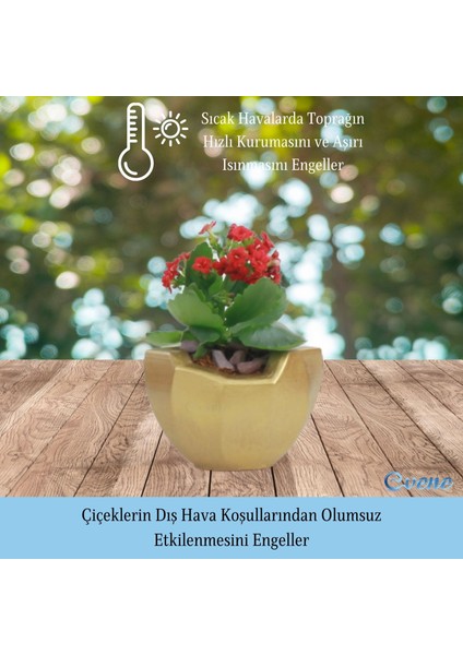 Saksı Çiçek Kaktüs Saksısı Lüx 11,5 cm Önü Açık Desen Saksı Çiçeklik