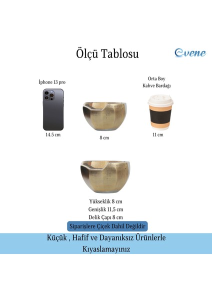 Saksı Çiçek Kaktüs Saksısı Lüx 11,5 cm Önü Açık Desen Saksı Çiçeklik