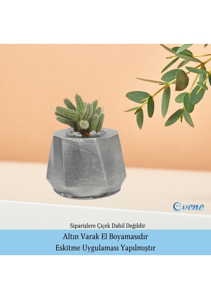Saksı Çiçek Kaktüs Saksısı Lüx 11,5 cm Kalın Çizgi Desen Saksı Çiçeklik indirimleri