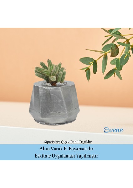 Ahşap Ayaklı Beton Saksı Büyük Boy 1 Adet Kalın Çizgili Model indirimleri