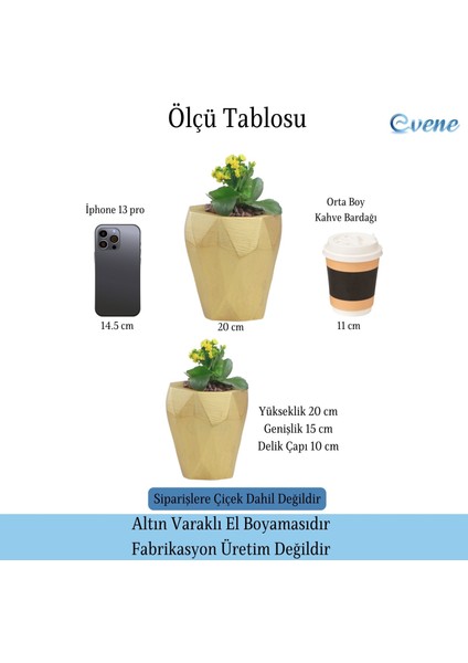 Saksı Çiçek Kaktüs Saksısı Lüx 15 cm Poly Desen Saksı Çiçeklik