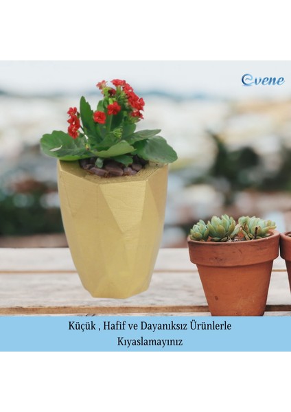 Saksı Çiçek Kaktüs Saksısı Lüx 15 cm Poly Desen Saksı Çiçeklik