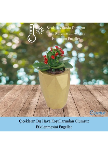 Saksı Çiçek Kaktüs Saksısı Lüx 15 cm Poly Desen Saksı Çiçeklik