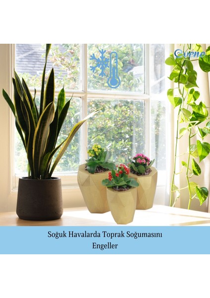Saksı Çiçek Kaktüs Saksısı Lüx 15 cm Poly Desen Saksı Çiçeklik