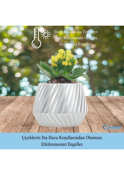 Saksı Çiçek Kaktüs Saksısı Lüx 13 cm Mekanik Dişli Desen Saksı Çiçeklik fırsatları