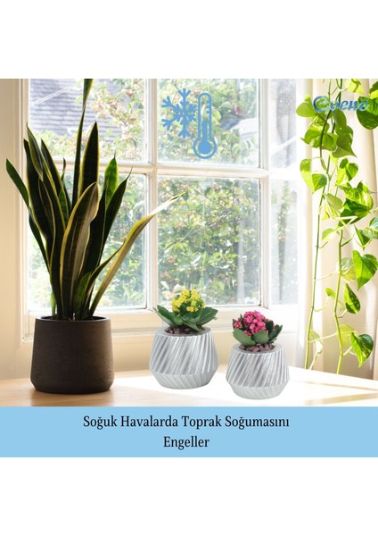 Saksı Çiçek Kaktüs Saksısı Lüx 13 cm Mekanik Dişli Desen Saksı Çiçeklik indirimleri