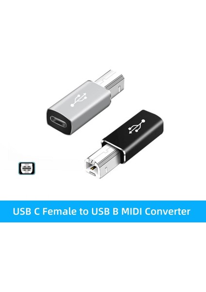 Dişi Typec Erkek Yazıcı Çevirici Dişi Type-C Erkek Yazıcı Dişi Type-C Erkek USB B Çevirici fiyatları
