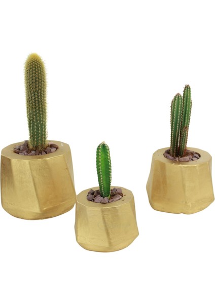 Saksı Çiçek Kaktüs Saksısı Lüx 15 cm Kalın Çizgi Desenli 3'lü Set Çiçeklik