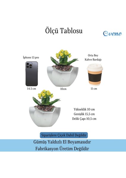 Saksı Çiçek Kaktüs Saksısı Lüx 15 cm Önü Açık Desenli 3'lü Set Çiçeklik