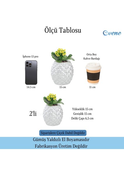 Saksı Çiçek Kaktüs Saksısı Lüx 15 cm Ananas Desenli 2'li Set Çiçeklik
