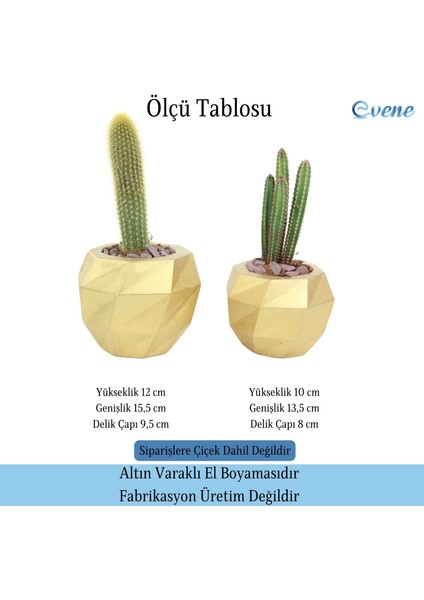 Saksı Çiçek Kaktüs Saksısı Lüx 15 cm Boyalı Burgulu Desen Saksı 2li Set Çiçeklik fiyatları