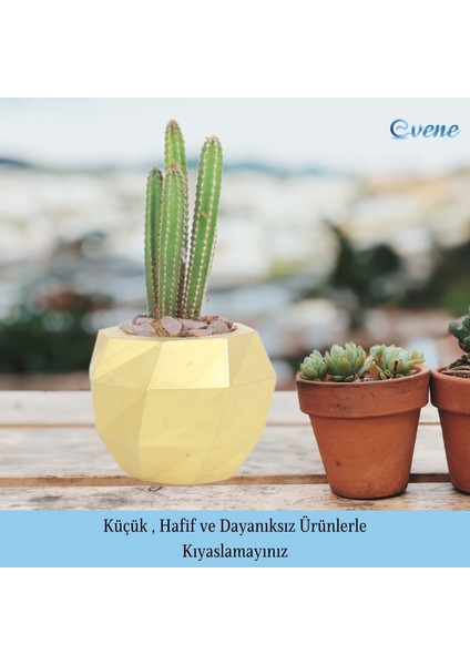 Saksı Çiçek Kaktüs Saksısı Lüx 15 cm Boyalı Burgulu Desen Saksı 2li Set Çiçeklik modelleri