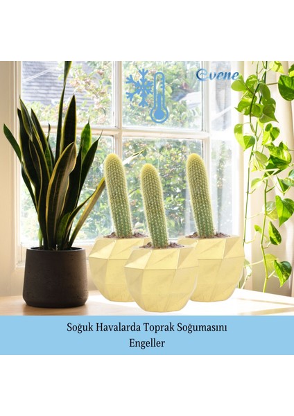 Saksı Çiçek Kaktüs Saksısı Lüx 15 cm Boyalı Burgulu Desen Saksı 2li Set Çiçeklik indirimleri