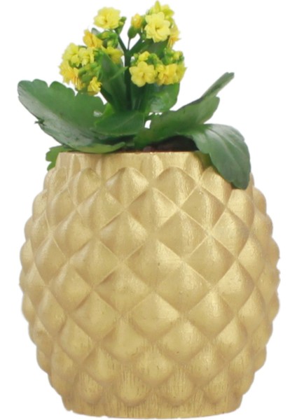 Saksı Çiçek Kaktüs Saksısı Lüx 15 cm Ananas Desen Saksı Çiçeklik
