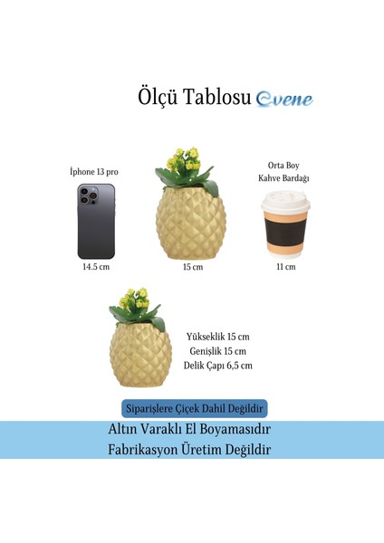 Saksı Çiçek Kaktüs Saksısı Lüx 15 cm Ananas Desen Saksı Çiçeklik