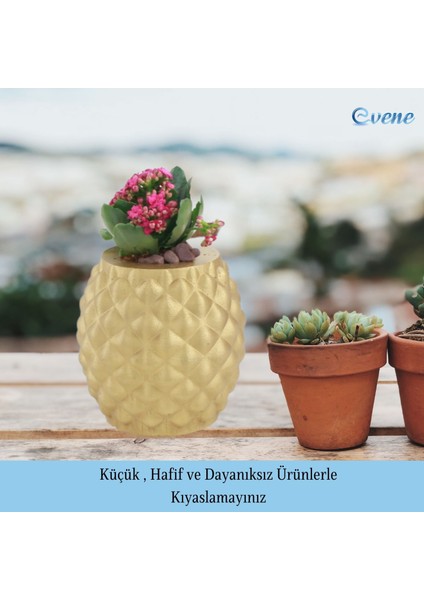 Saksı Çiçek Kaktüs Saksısı Lüx 15 cm Ananas Desen Saksı Çiçeklik