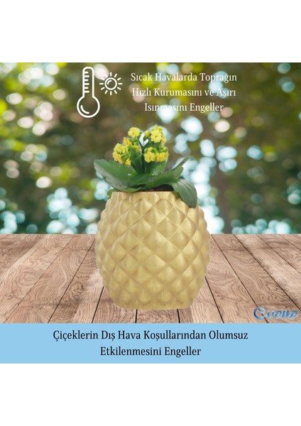 Saksı Çiçek Kaktüs Saksısı Lüx 15 cm Ananas Desen Saksı Çiçeklik