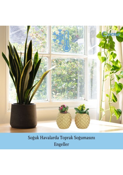 Saksı Çiçek Kaktüs Saksısı Lüx 15 cm Ananas Desen Saksı Çiçeklik