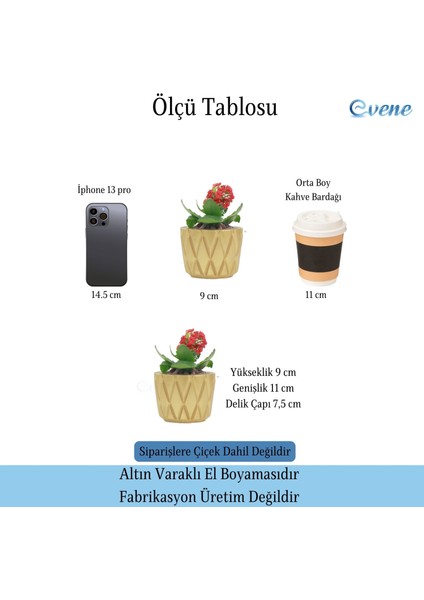 Saksı Çiçek Kaktüs Saksısı Lüx 11 cm Baklava Desen Saksı Çiçeklik