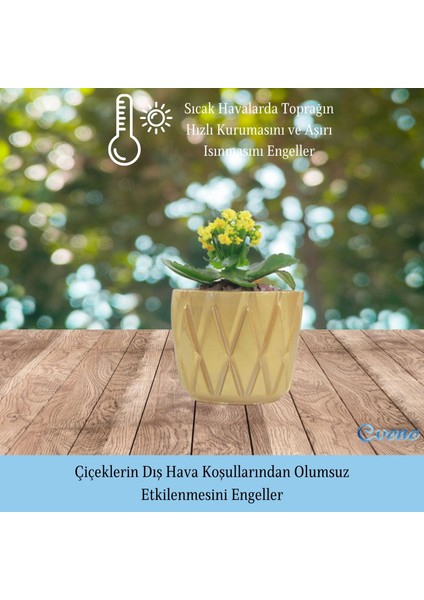 Saksı Çiçek Kaktüs Saksısı Lüx 11 cm Baklava Desen Saksı Çiçeklik