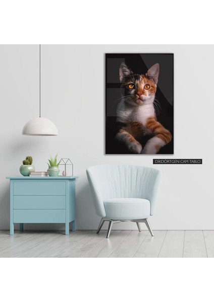 Kedi Temalı Renkli Cam Tablo