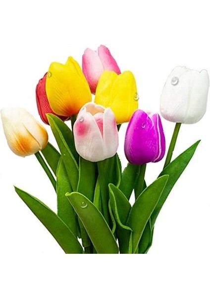 10'lu 10 Farklı Renk Mix Tulip Seed Lale Tohumu + 10'lu Kırmızı Antoryum Çiçek Tohumu