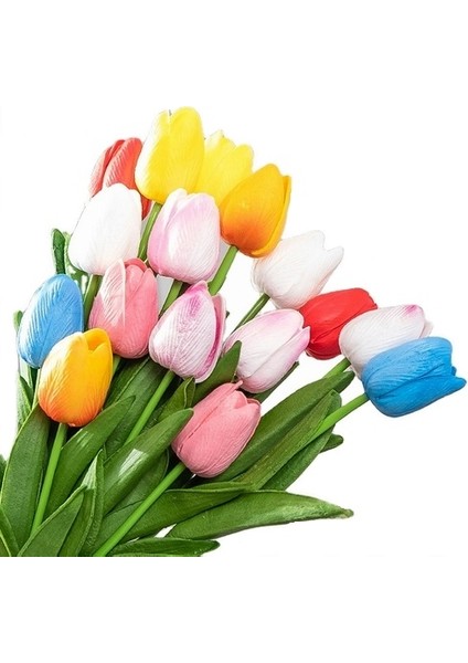 10'lu 10 Farklı Renk Mix Tulip Seed Lale Tohumu + 10'lu Kırmızı Gül Çiçek Tohumu
