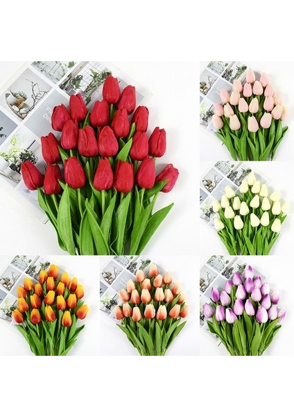 10'lu 10 Farklı Renk Mix Tulip Seed Lale Tohumu + 10'lu Kırmızı Orkide Çiçek Tohumu