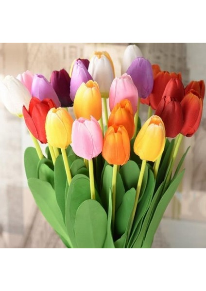 10'lu 10 Farklı Renk Mix Tulip Seed Lale Tohumu + 10'lu Kırmızı Zambak Çiçek Tohumu