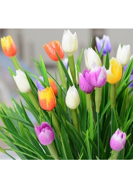 50'li 10 Farklı Mix Tulip Seed Lale Tohumu + 10'lu Kırmızı Antoryum Çiçek Tohumu