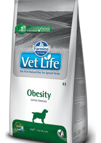 Obesity Köpek Maması 2 kg