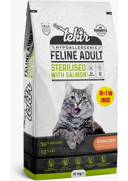 Hypo Allergenic Adult Steril Somonlu Kedi Maması 12 kg