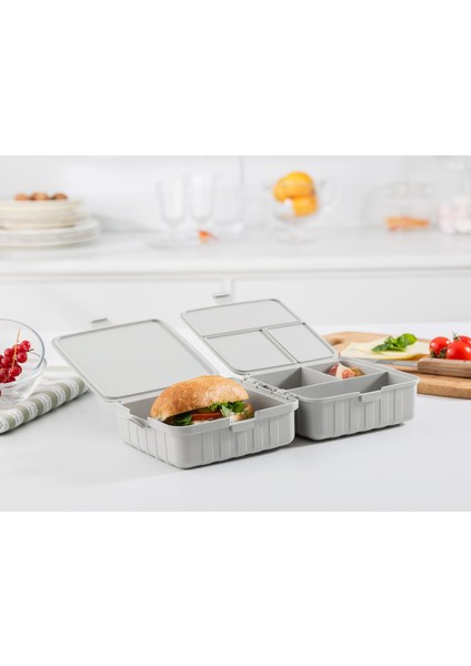 Diurne Kare Beslenme Kutusu