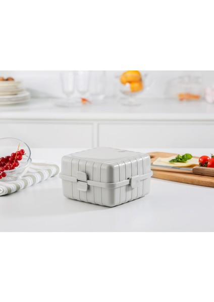 Diurne Kare Beslenme Kutusu fiyatları