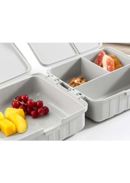 Diurne Kare Beslenme Kutusu modelleri