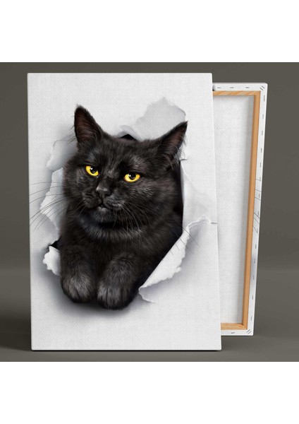 Tuvalden Çıkan Şirin Kedi Hayvan Kanvas Tablo