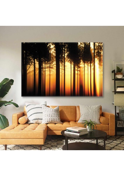 Akşamüstü Gün Batımı Orman Manzarası Golden Hour Doğa Kanvas Tablo