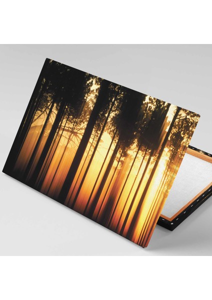Akşamüstü Gün Batımı Orman Manzarası Golden Hour Doğa Kanvas Tablo fiyatları