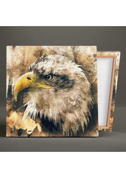 Grunge Efektli Kartal Eagle Hayvan Kanvas Tablo
