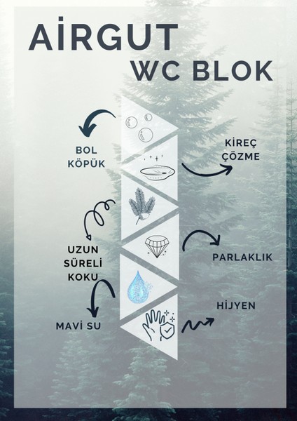 AirGut 2'li Paket WC Blok, Tuvalet Koku Giderici 8 Adet Çam Kokusu Bloğu (Mavi su verir)