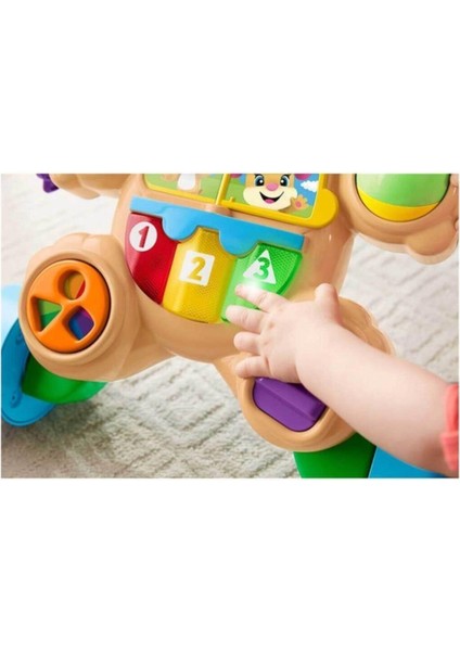 Fisher Price Eğitici Köpekçik Yürüteç Türkçe FTG10