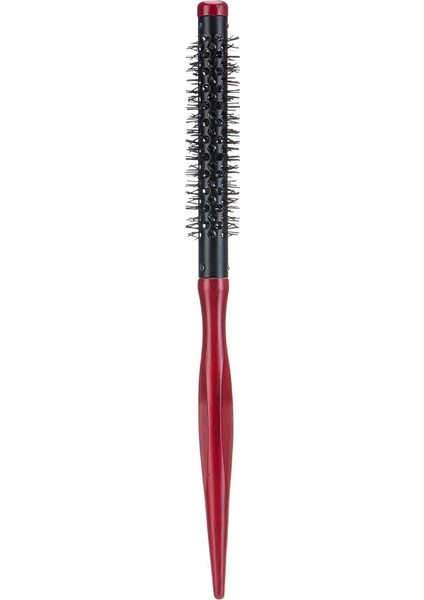 Stil Hacmi Yuvarlak Saç Fırçası Kadınlar Anti-Statik Quiff Roller 10MM (Yurt Dışından)