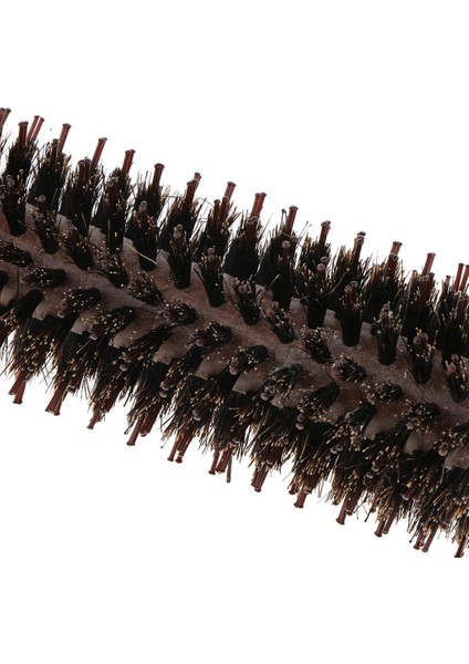 Salon Kılı Dalgalı Saç Yuvarlak Fırçası Namlu Saç Stil Tarak Saç Fır Yarışı 12 Row (Yurt Dışından)