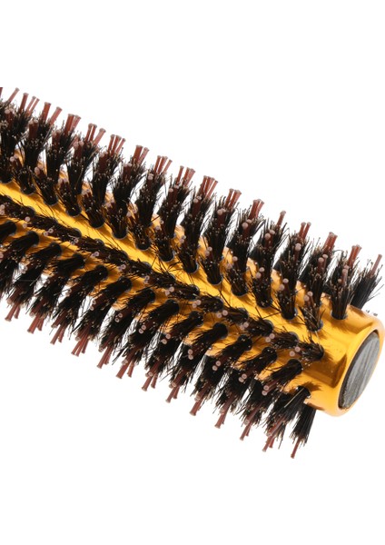 Salon Ahşap Kuaförlük Fırçası Namlu Saç Yuvarlak M (Yurt Dışından)