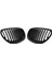 2 Adet Ön Böbrek Izgara Mat Siyah Bmw E60 E61 Için Fit 5 Keşke M5 04-2009 (Yurt Dışından) 2