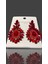 Kırmızı Zircon Taşlı Modern Tasarım Abiye Küpe MY70E22310055 3