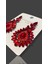 Kırmızı Zircon Taşlı Modern Tasarım Abiye Küpe MY70E22310055 4