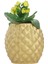 Saksı Çiçek Kaktüs Saksısı Lüx 15 cm Ananas Desen Saksı Çiçeklik 1