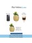 Saksı Çiçek Kaktüs Saksısı Lüx 15 cm Ananas Desen Saksı Çiçeklik 2
