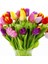 50'li 10 Farklı Mix Tulip Seed Lale Tohumu + 10'lu Kırmızı Begonya Çiçek Tohumu 1